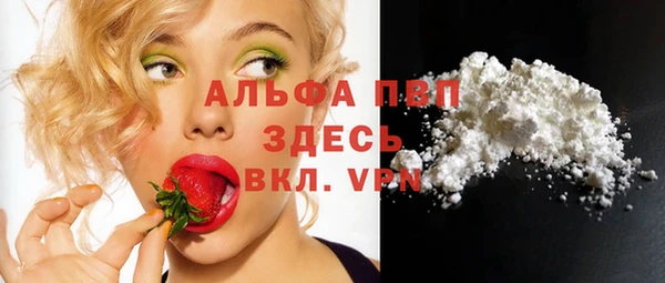 spice Лагань